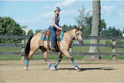 Show full view: Weaver Equine AirFlex Roper Cinch & Roll Snug Horse Cinch Buckle, 32-in slide 5 of 9