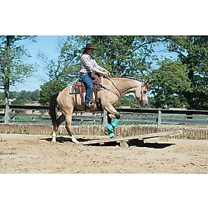 Weaver Equine AirFlex Roper Cinch & Roll Snug Horse Cinch Buckle, 32-in