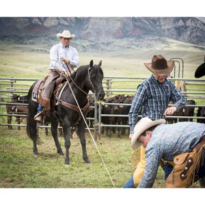 Weaver Equine AirFlex Roper Cinch & Roll Snug Horse Cinch Buckle, 34-in