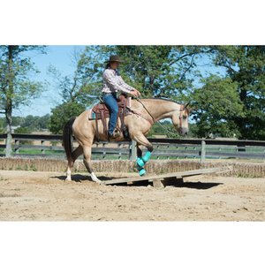 Weaver Equine AirFlex Roper Cinch & Roll Snug Horse Cinch Buckle, 34-in
