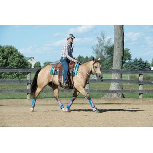 Weaver Equine AirFlex Roper Cinch & Roll Snug Horse Cinch Buckle, 34-in