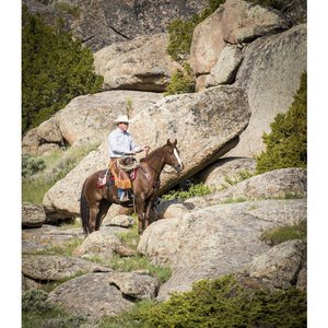 Weaver Equine AirFlex Roper Cinch & Roll Snug Horse Cinch Buckle, 34-in