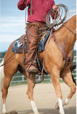 Show full view: Weaver Equine AirFlex Straight Cinch & Roll Snug Horse Cinch Buckle, 30-in slide 4 of 6