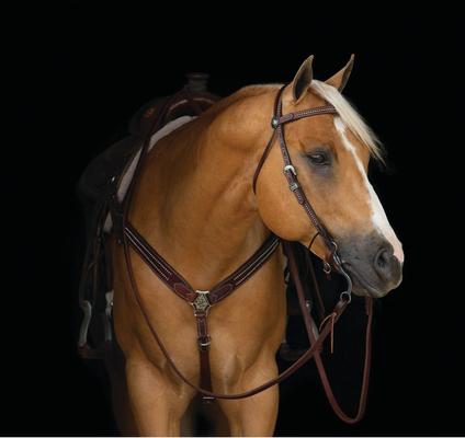 Show full view: Weaver Equine Austin Horse Breast Collar slide 3 of 3