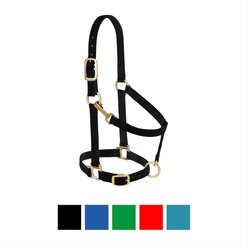 Weaver Equine Basic Adjustable Nylon Horse Halter, Black, Average