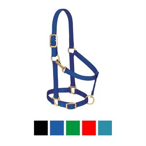 Weaver Equine Basic Adjustable Nylon Horse Halter, Blue, Average