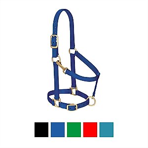 Weaver Equine Basic Adjustable Nylon Horse Halter, Blue, Large