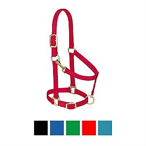 Weaver Equine Basic Adjustable Nylon Horse Halter, Red, Small