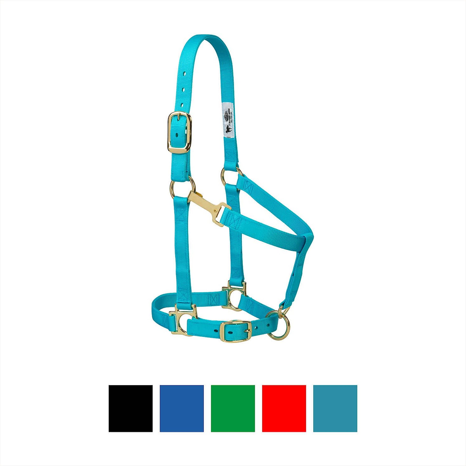 Weaver Equine Basic Adjustable Nylon Horse Halter, Turquoise, Average