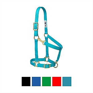 Weaver Equine Basic Adjustable Nylon Horse Halter, Turquoise, Small