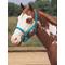 Show in main carousel: Weaver Equine Basic Adjustable Nylon Horse Halter, Turquoise, Small slide 2 of 4