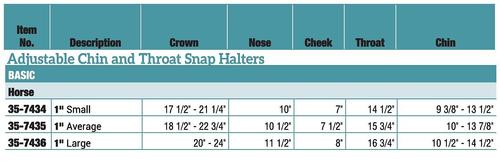 Show full view: Weaver Equine Basic Adjustable Nylon Horse Halter, Turquoise, Small slide 3 of 4