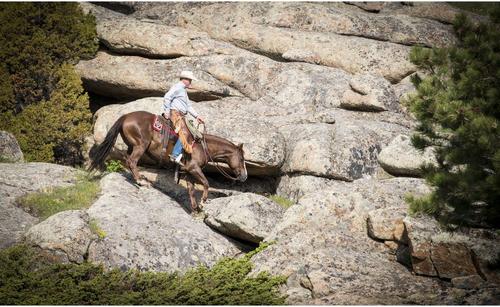 Show full view: Weaver Equine Basin Cowboy Spur Straps slide 3 of 9
