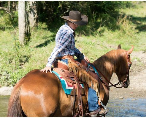 Show full view: Weaver Equine Basin Cowboy Spur Straps slide 4 of 9