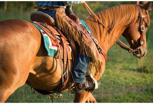 Show full view: Weaver Equine Basin Cowboy Spur Straps slide 6 of 9
