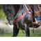 Show in main carousel: Weaver Equine Basin Cowboy Spur Straps slide 8 of 9