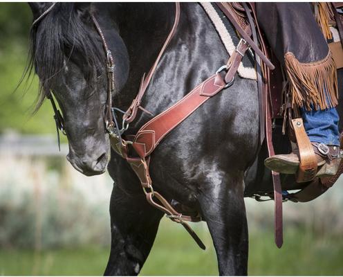 Show full view: Weaver Equine Basin Cowboy Spur Straps slide 8 of 9