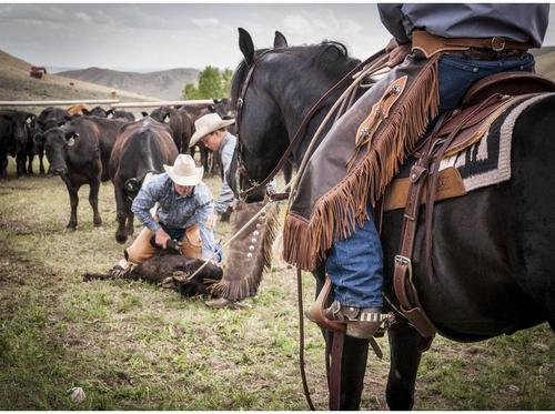 Show full view: Weaver Equine Basin Cowboy Spur Straps slide 9 of 9