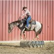Show in main carousel: Weaver Equine Black Leather Split Horse Reins slide 2 of 2