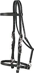 Weaver Equine Brahma Webb Horse Halter Bridle