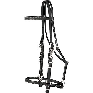 Weaver Equine Brahma Webb Horse Halter Bridle