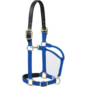 Horse Halters Weaver Leather Original Adjustable Nylon Horse Halter, Weanling/Pony, Hurricane Blue Leather Snaps