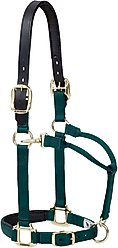 Weaver Equine Breakaway Original Adjustable Buffalo Leather Chin & Throat Snap Horse Halter, Hunter Green, Average