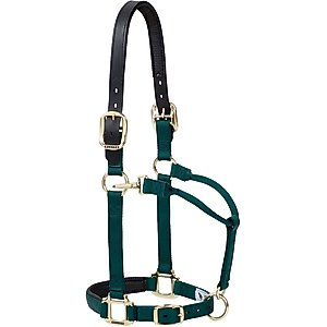 Weaver Equine Breakaway Original Adjustable Buffalo Leather Chin & Throat Snap Horse Halter, Hunter Green, Average