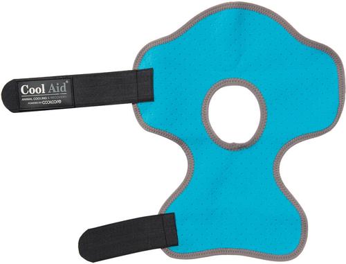 Show full view: Weaver Equine CoolAid Equine Icing & Cooling Hock Horse Wraps, Turquoise, Medium slide 2 of 3