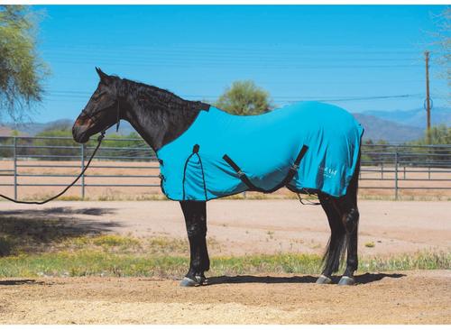 Show full view: Weaver Equine Cooling Horse Blanket, Turquoise, 78-in slide 3 of 3
