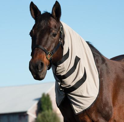 Show full view: Weaver Equine Cooling Horse Neck Wrap, Tan, Medium slide 4 of 5