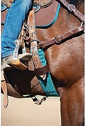 Weaver Equine EcoLuxe Straight Horse Cinch, Turquoise/Charcoal, 26-in slide 2 of 3