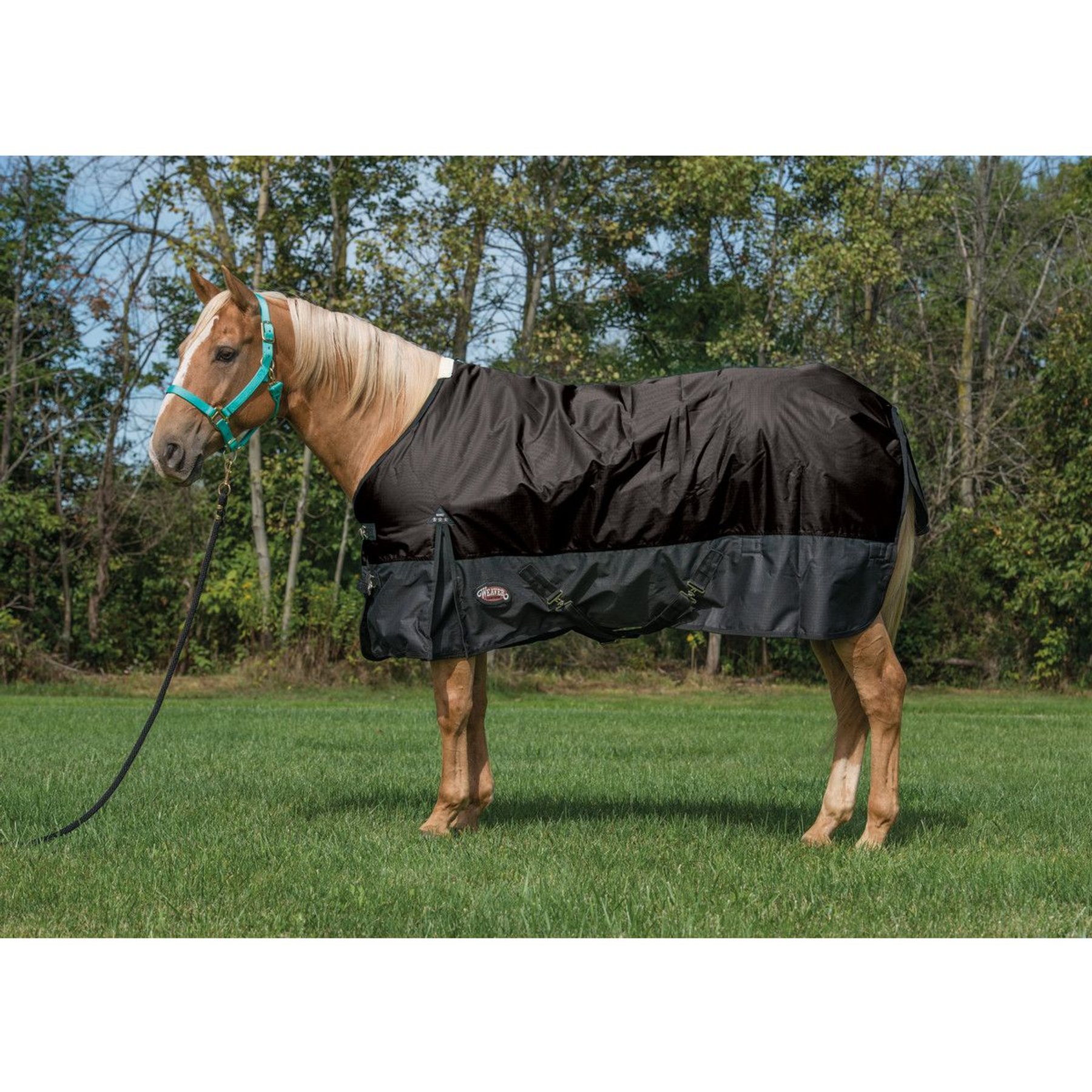 Weaver Equine Economy 600D Turnout Horse Blanket, Black, 84-in