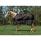 Show in main carousel: Weaver Equine Economy 600D Turnout Horse Blanket, Black, 84-in slide 1 of 4