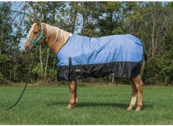 Weaver Equine Economy 600D Turnout Horse Blanket, Blue, 81-in