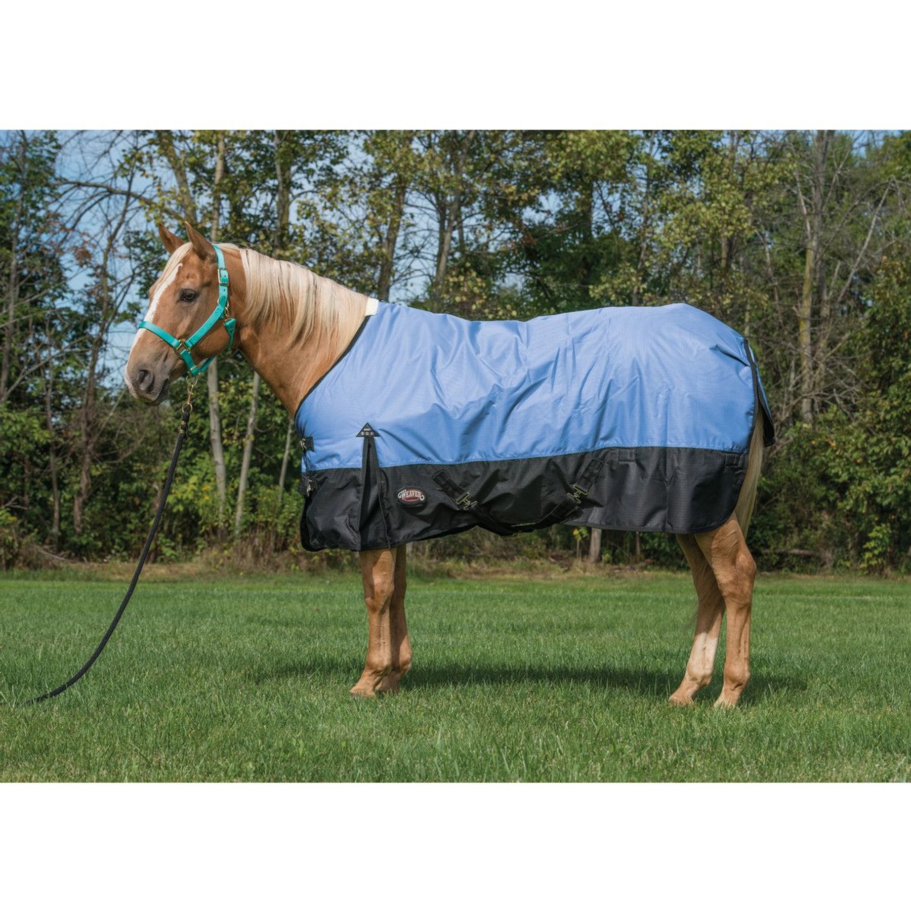 Weaver Equine Economy 600D Turnout Horse Blanket, Blue, 81-in