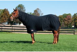Weaver Equine Fitted Polar Fleece Horse Cooler, 74-in