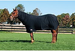 Weaver Equine Fitted Polar Fleece Horse Cooler, 80-in