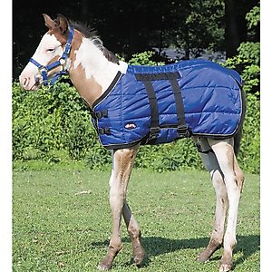 Weaver Equine Foal Blanket, 39-in