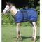 Show in main carousel: Weaver Equine Foal Blanket, 39-in slide 1 of 1