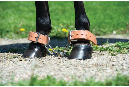 Show full view: Weaver Equine Heavy-Duty Horse Hobble slide 4 of 4