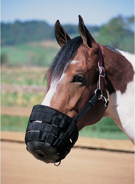 Weaver Equine Horse Grazing Muzzle, Black, Large