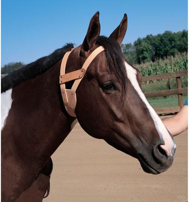 Show full view: Weaver Equine Horse Miracle Collar, Golden Brown, Large slide 2 of 3