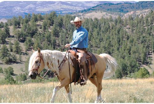 Show full view: Weaver Equine Justin Dunn Bitless Horse Bridle, Russet slide 5 of 5