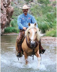 Weaver Equine Justin Dunn Bitless Horse Bridle slide 2 of 2