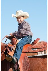 Weaver Equine Lil' Dude Stirrups, Russet slide 2 of 2