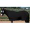 Show in main carousel: Weaver Equine Lycra Horse Sheet, Black, Small slide 1 of 1