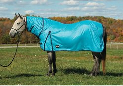 Weaver Equine Mesh Horse Fly Sheet, Hurricane Blue, 80-in