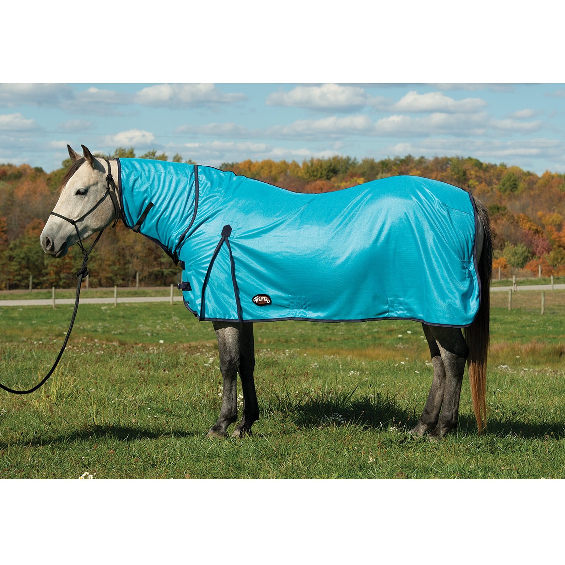 Weaver Equine Mesh Horse Fly Sheet, Hurricane Blue, 82-in