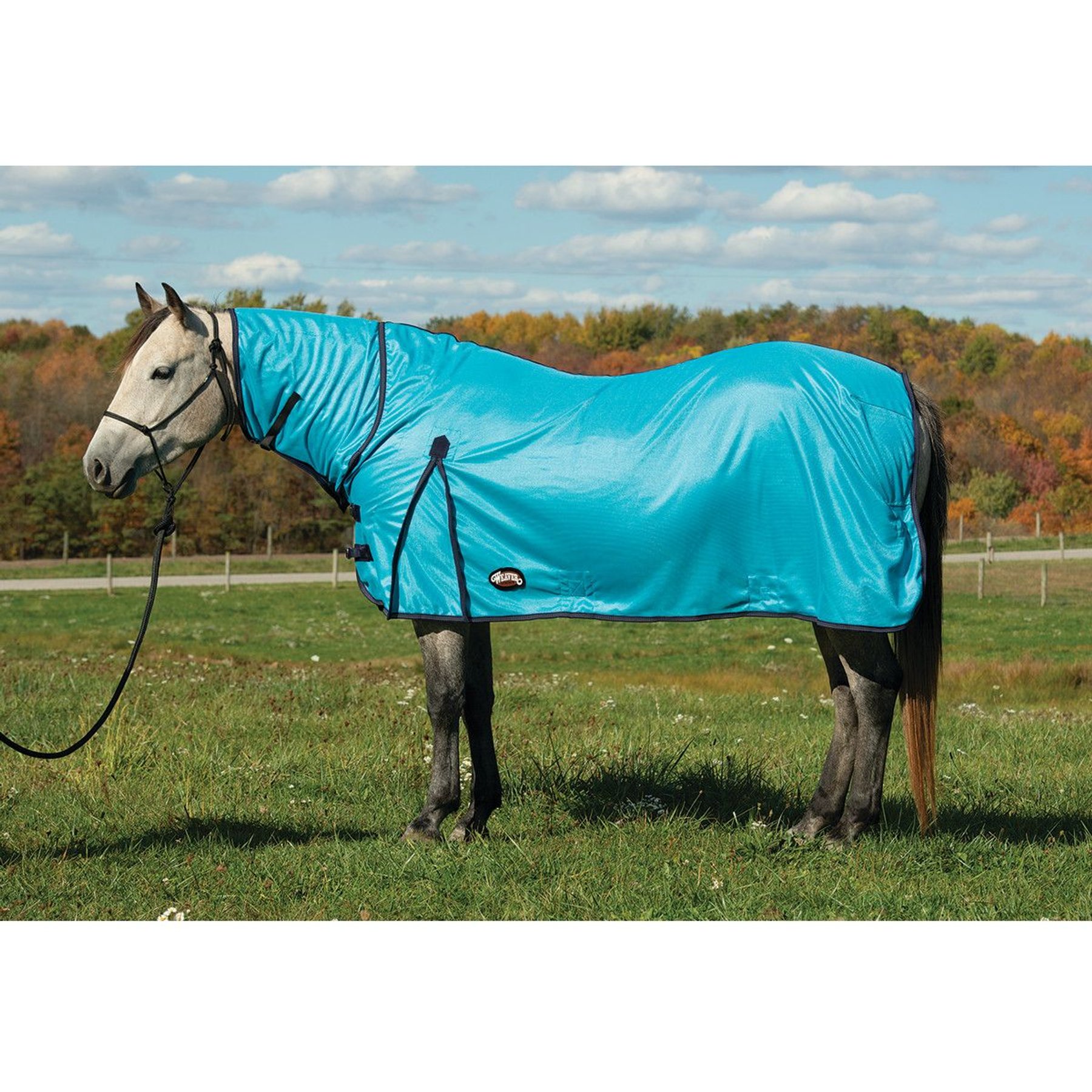 Weaver Equine Mesh Horse Fly Sheet, Hurricane Blue, 84-in